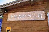 diaryPhoto