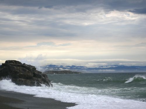 diaryPhoto