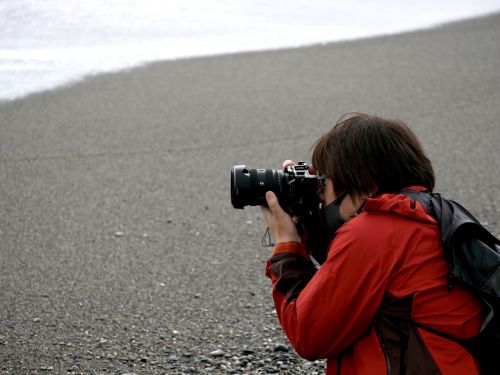 diaryPhoto